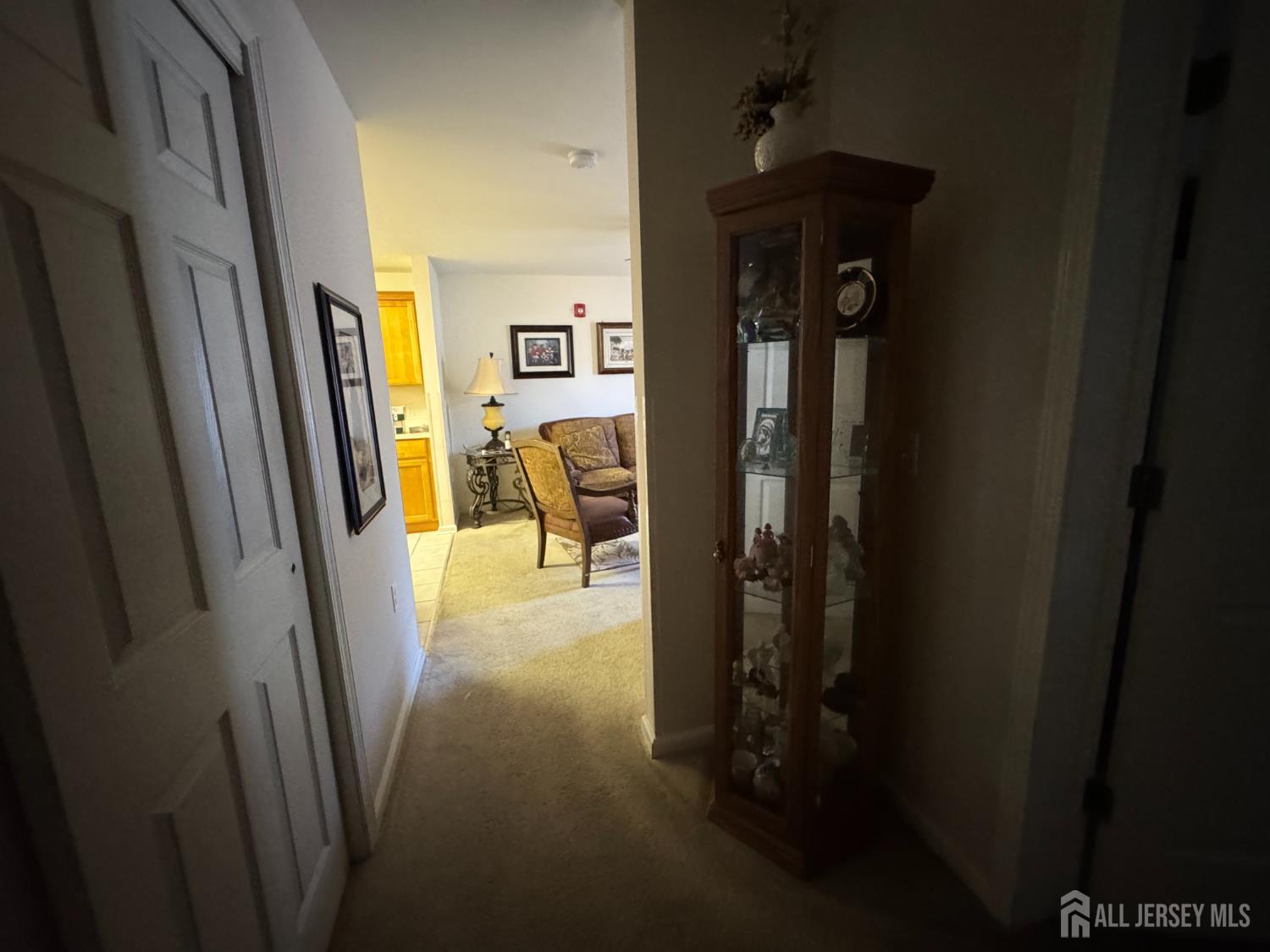 85 Liddle Avenue, Edison, NJ, 08837 image 11