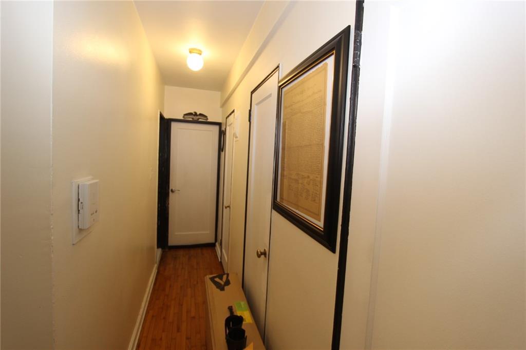 2229 Knapp Street 1C, Brooklyn, New York, 11229 image 29