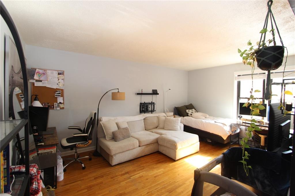 2229 Knapp Street 1C, Brooklyn, New York, 11229 image 9