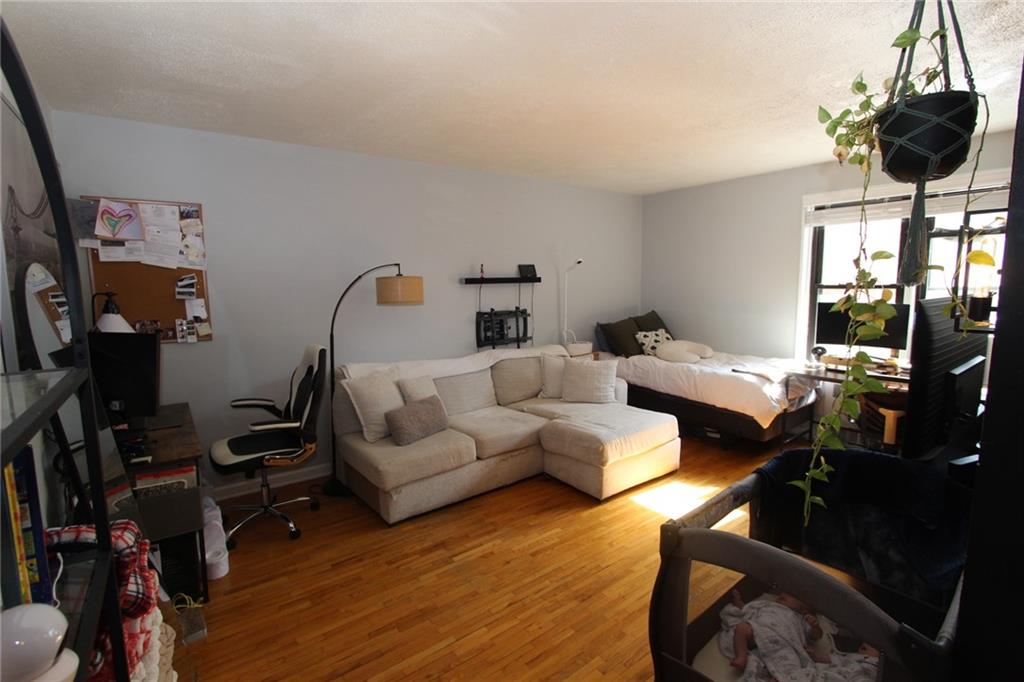 2229 Knapp Street 1C, Brooklyn, New York, 11229 image 12