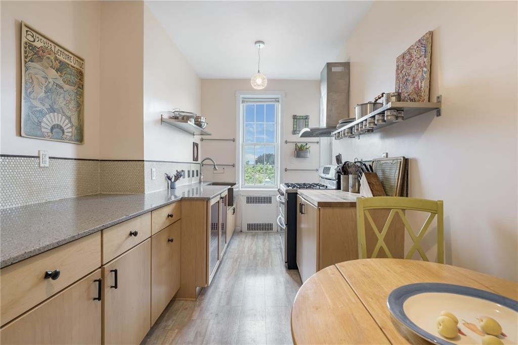 1409 Albemarle Road 5B, Brooklyn, New York, 11226 image 10