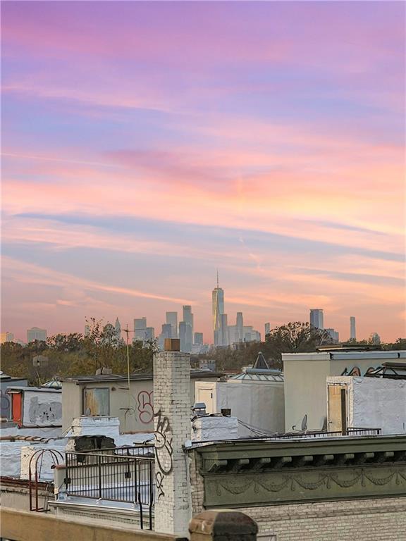 509 Chauncey Street 3R, Brooklyn, New York, 11233 image 10