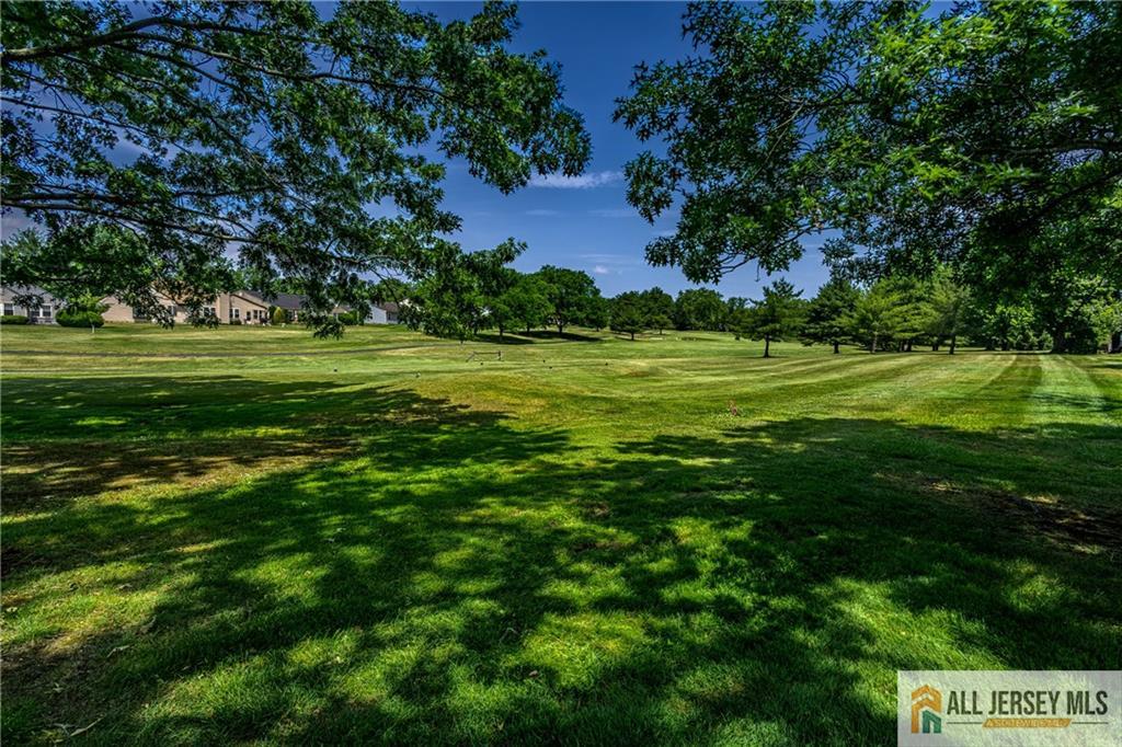 4 Martin Van Buren Drive B, Monroe, NJ, 08831 image 22