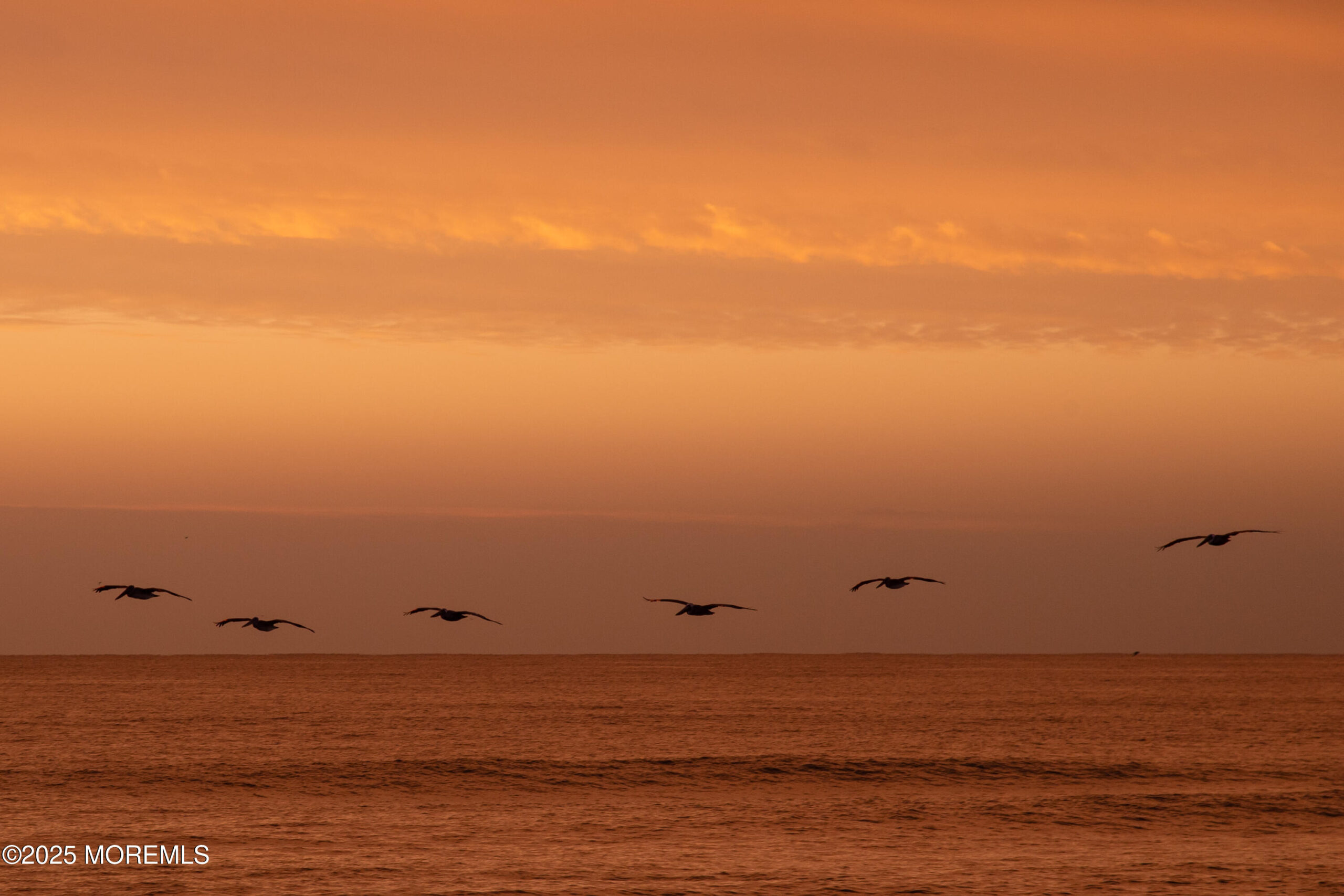 500 Ocean Terr 7, Seaside Heights, NJ, 08751 image 67