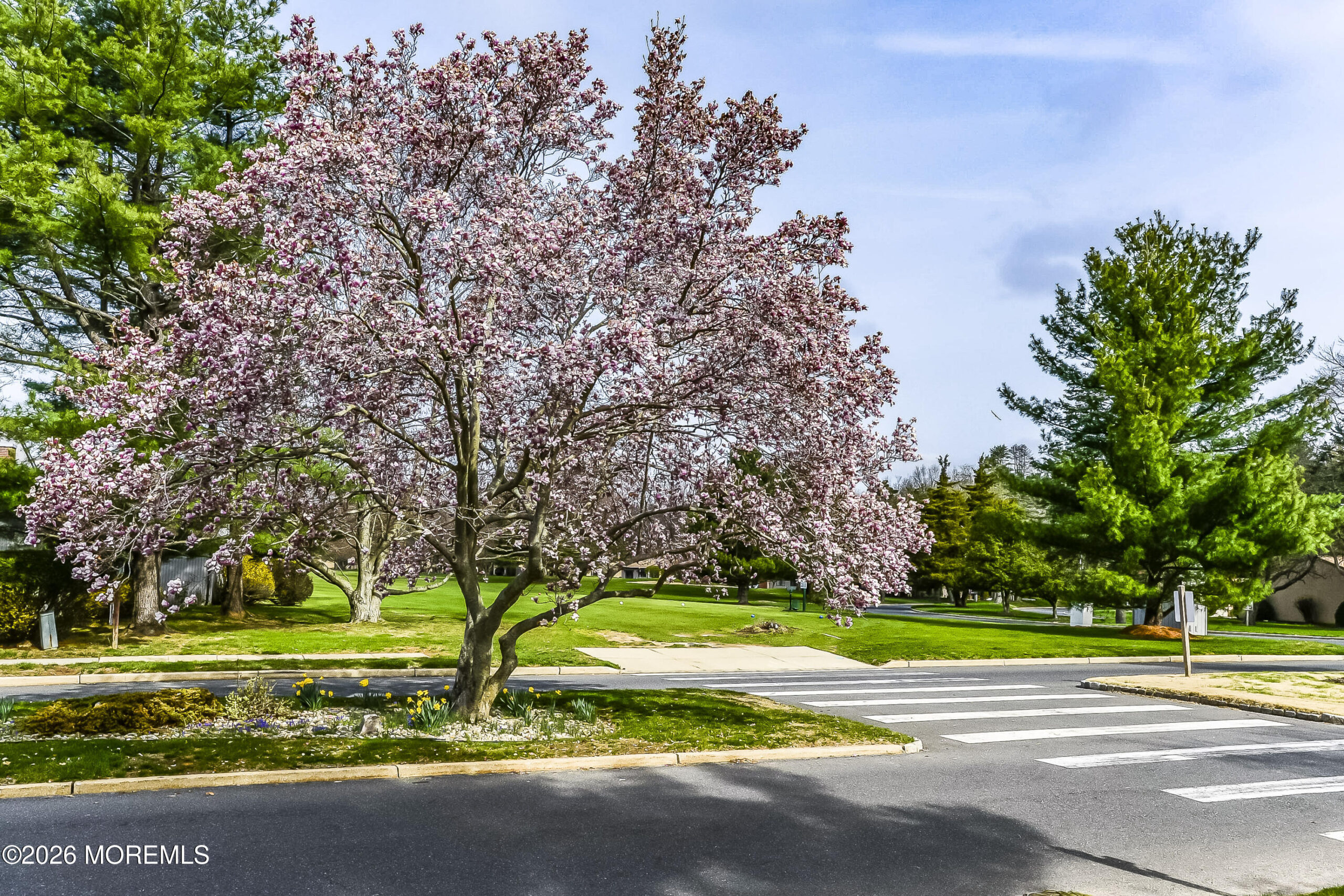 72 Berkshire Court Image 3