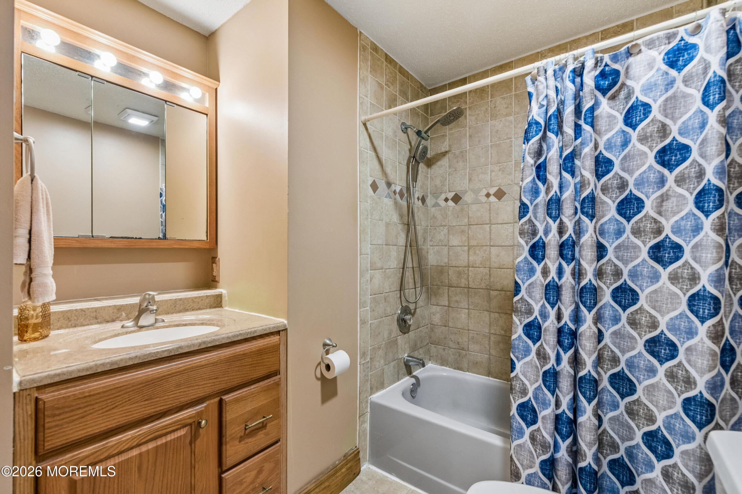 807 Constitution Drive, Brick, NJ, 08724 image 11