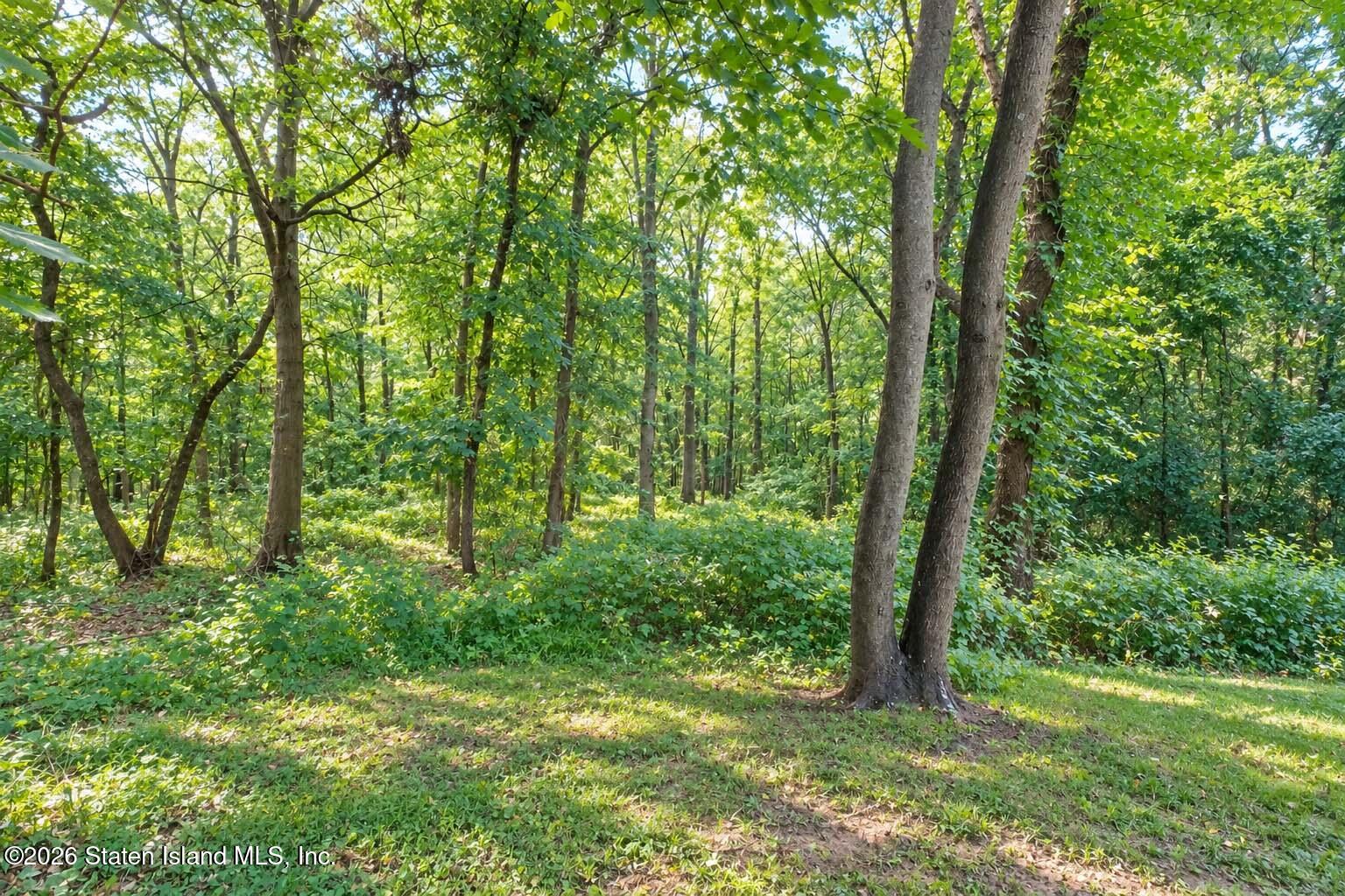 660 Ilyssa Way, Staten Island, NY, 10312 image 28