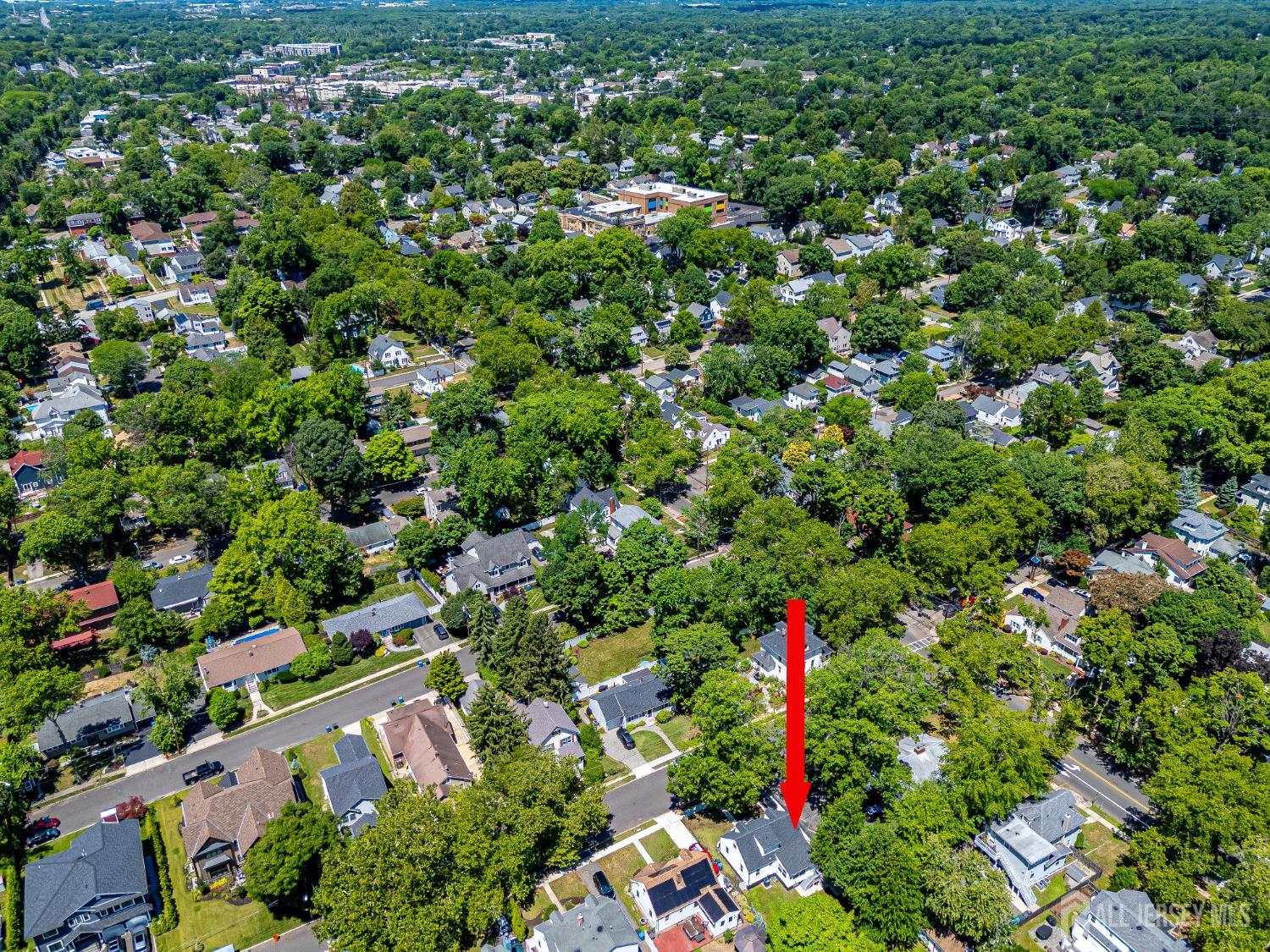 34 James Place, Metuchen, NJ, 08840 image 47