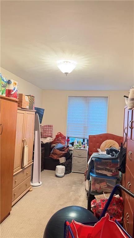 3655 Shore Parkway 2C, Brooklyn, New York, 11235 image 16