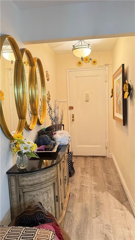 3655 Shore Parkway 2C, Brooklyn, New York, 11235 image 10