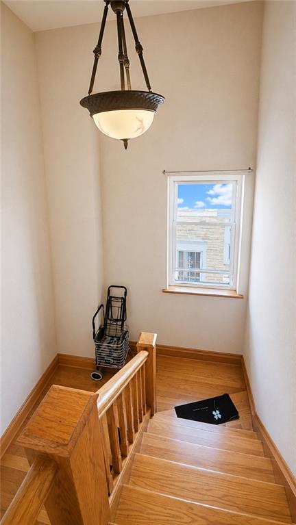 1469 West 9th Street, Brooklyn, New York, 11204 image 19
