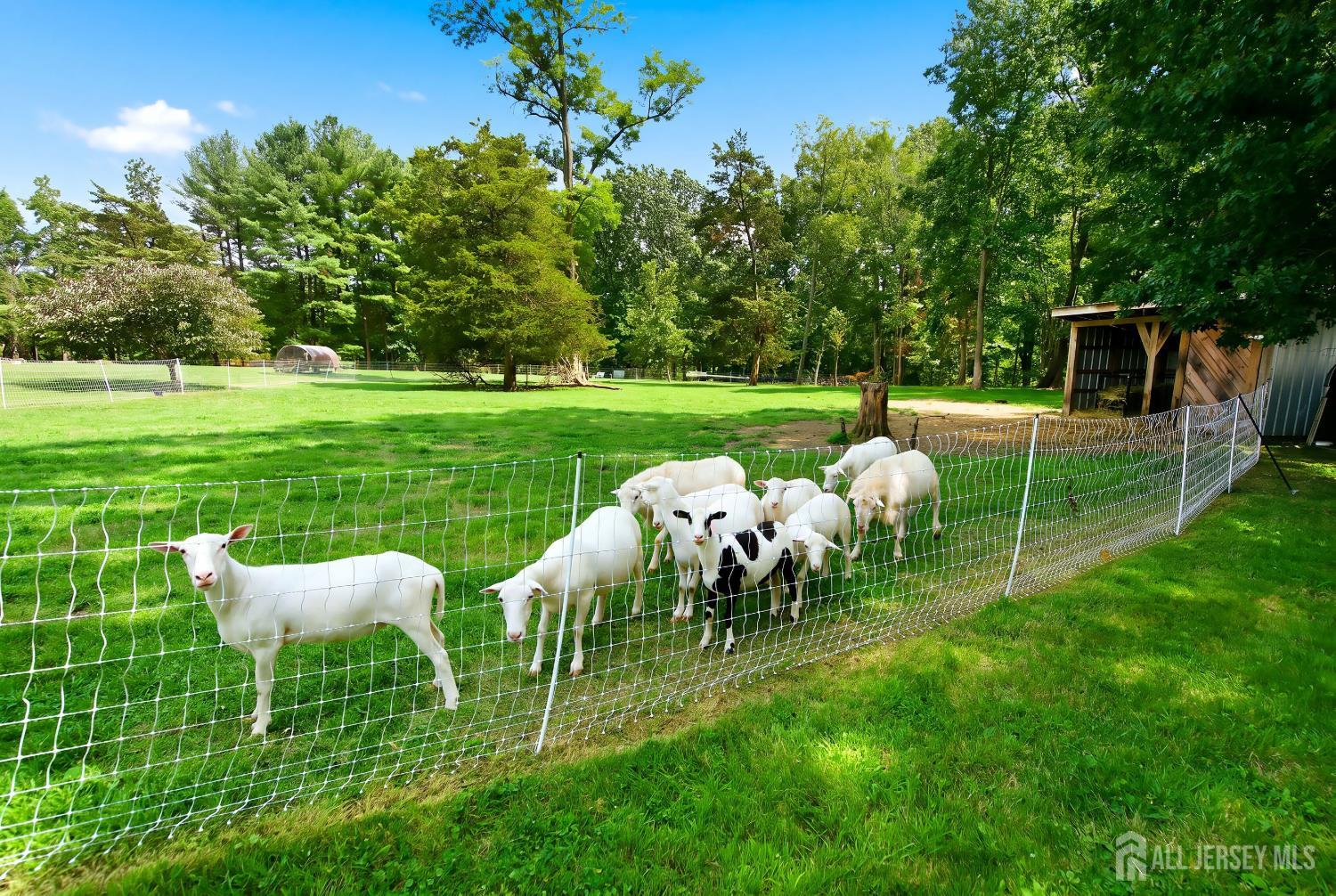 35 Hoffman Road, Monroe, NJ, 08831 image 33