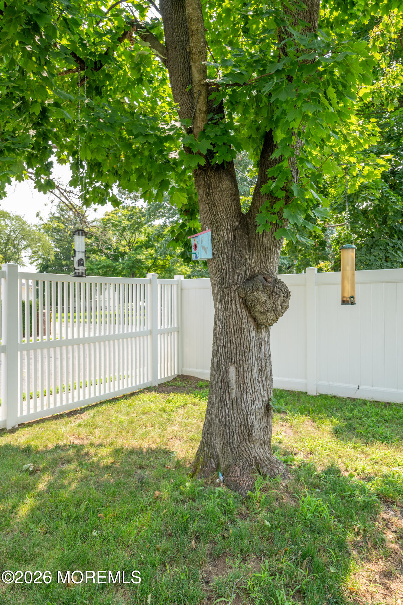 517 W Front Street, Red Bank, NJ, 07701 image 26