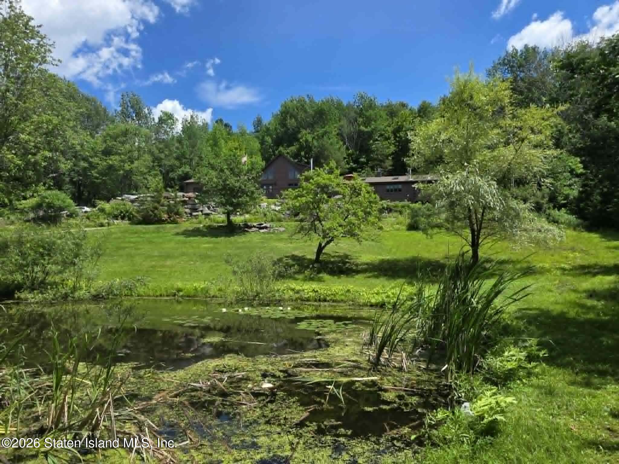195 Haynes Hollow Road, Hardenburgh, NY, 12406 image 43