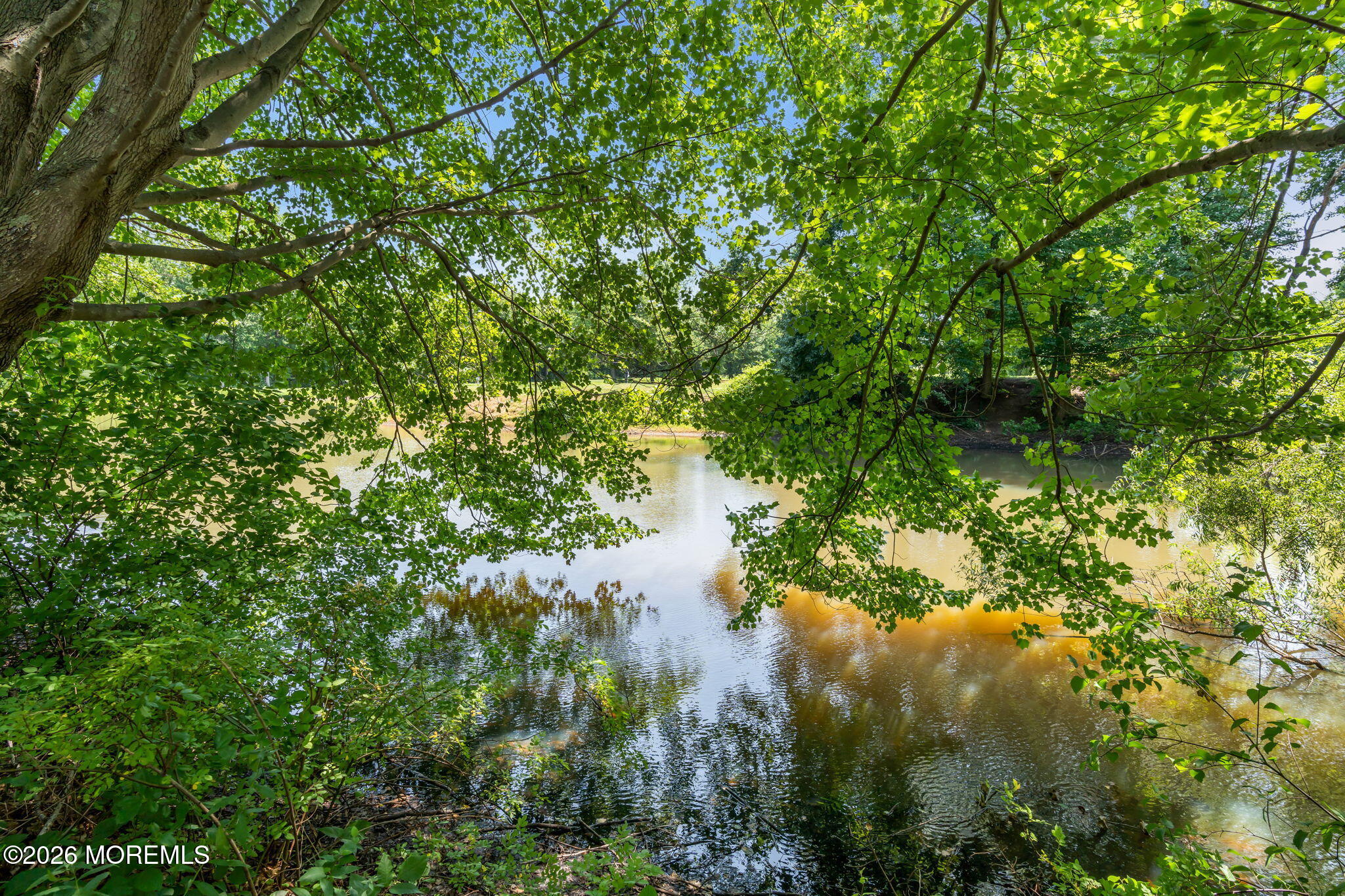 155 Shinnecock Drive, Manalapan, NJ, 07726 image 36