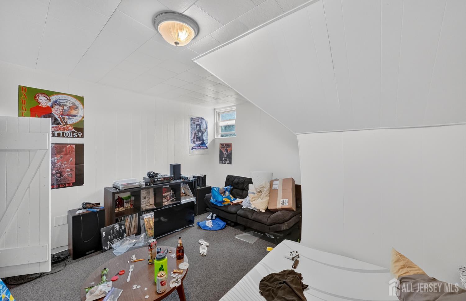 137 Livingston Avenue, New Brunswick, NJ, 08901 image 34