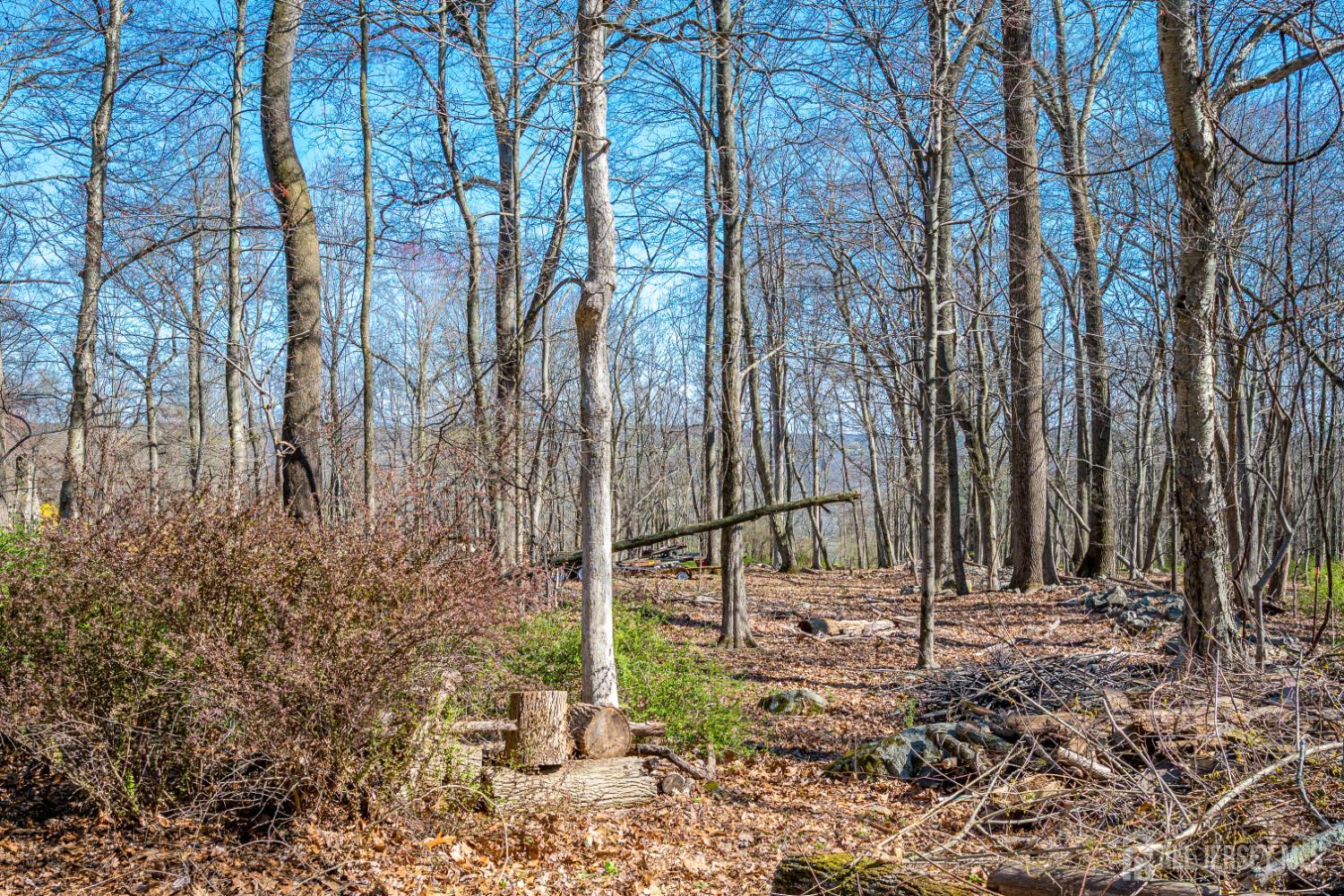 16 Skytop Road, Lebanon Twp, NJ, 07853 image 43