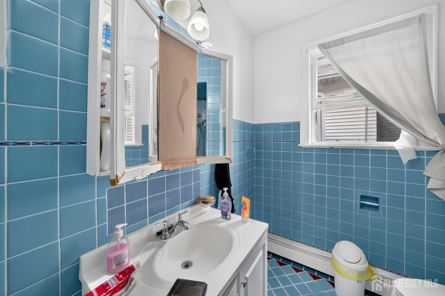 137 Livingston Avenue, New Brunswick, NJ, 08901 image 28
