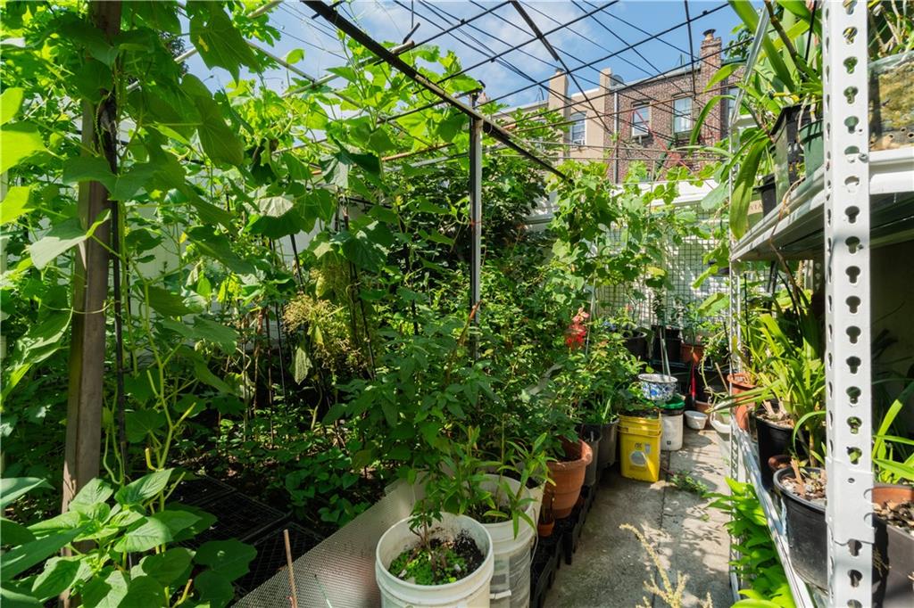 114 Avenue N, Brooklyn, New York, 11230 image 25