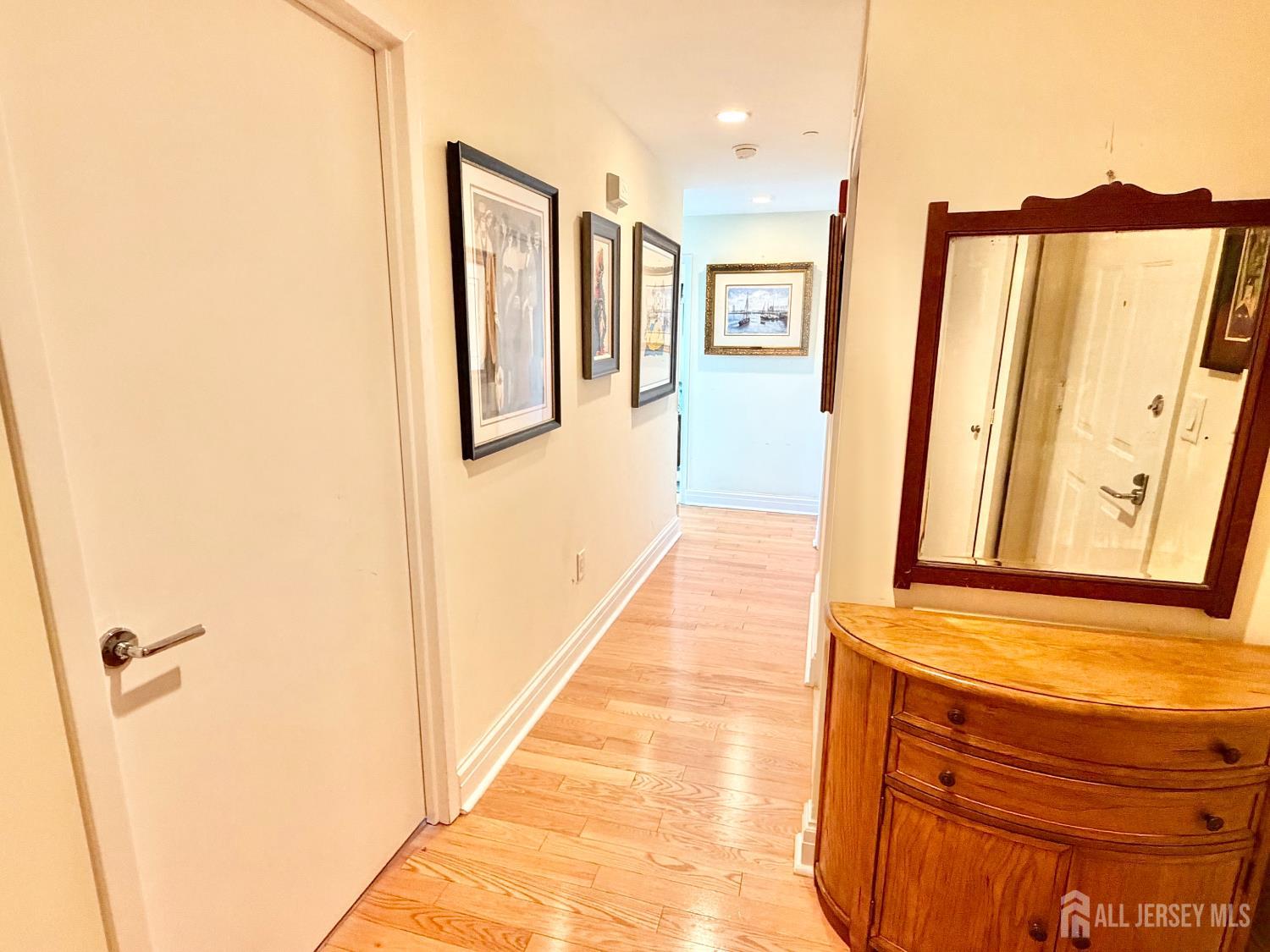 1 Spring Street 2204, New Brunswick, NJ, 08901 image 9