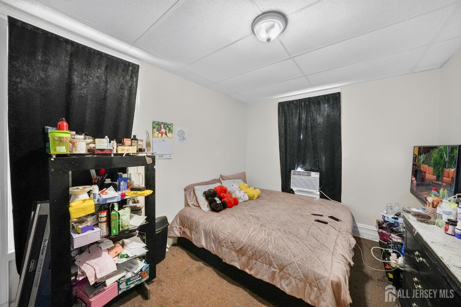 137 Livingston Avenue, New Brunswick, NJ, 08901 image 29