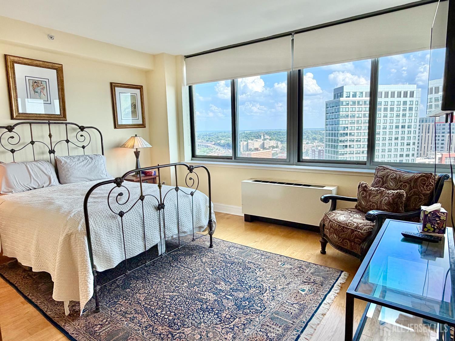 1 Spring Street 2204, New Brunswick, NJ, 08901 image 39
