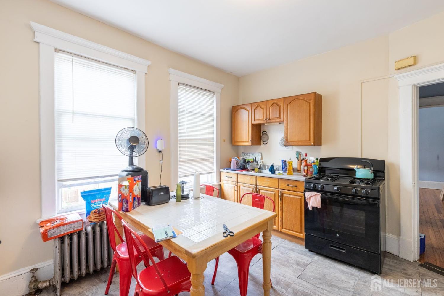 32 Suydam Street, New Brunswick, NJ, 08901 image 9