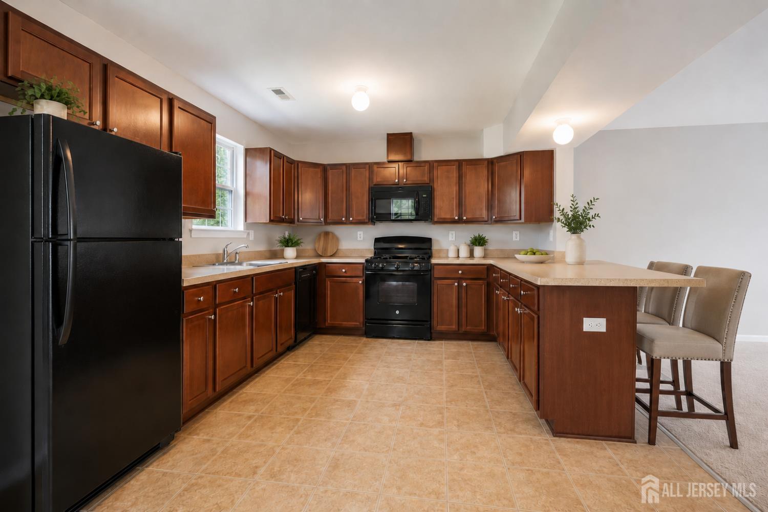13 Ronald Drive, Franklin Twsp, NJ, 08873 image 7