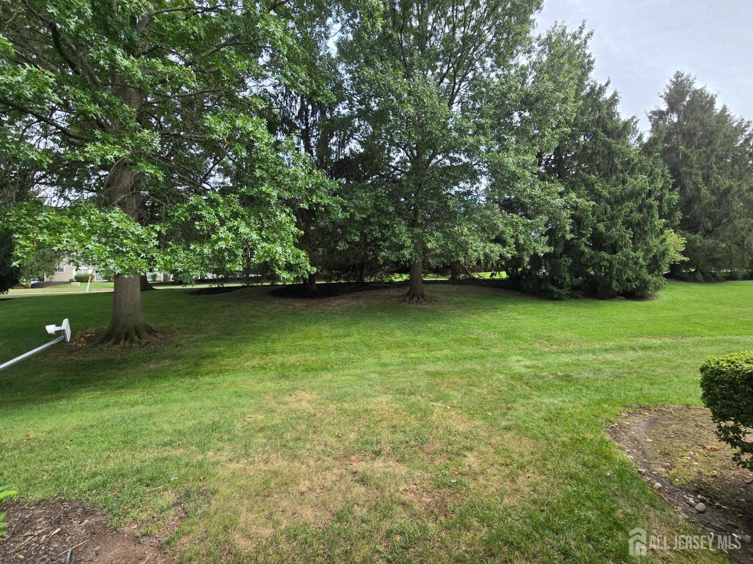 113 Gregory Lane Image 5