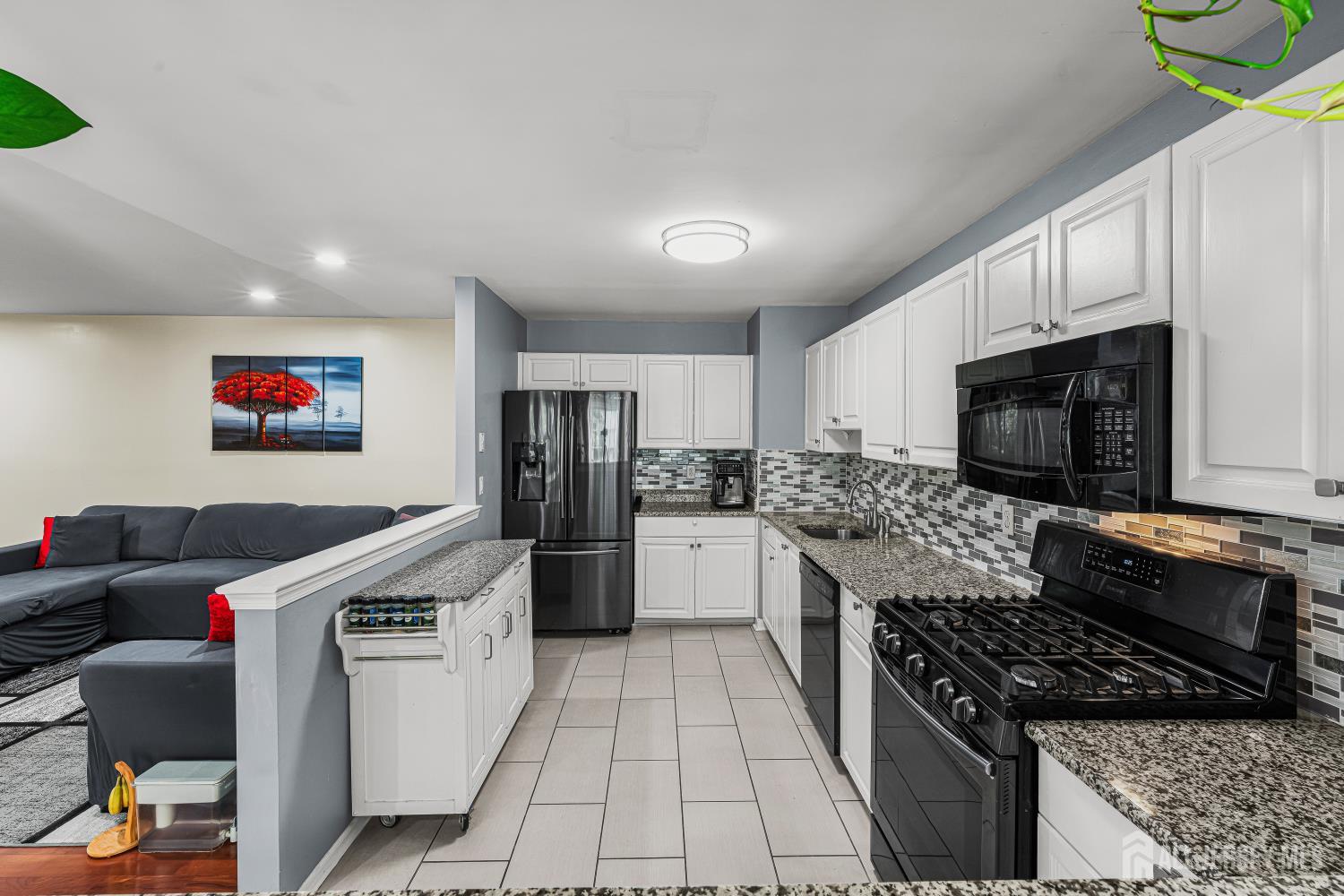 262 Retta Court, Piscataway, NJ, 08854 image 12