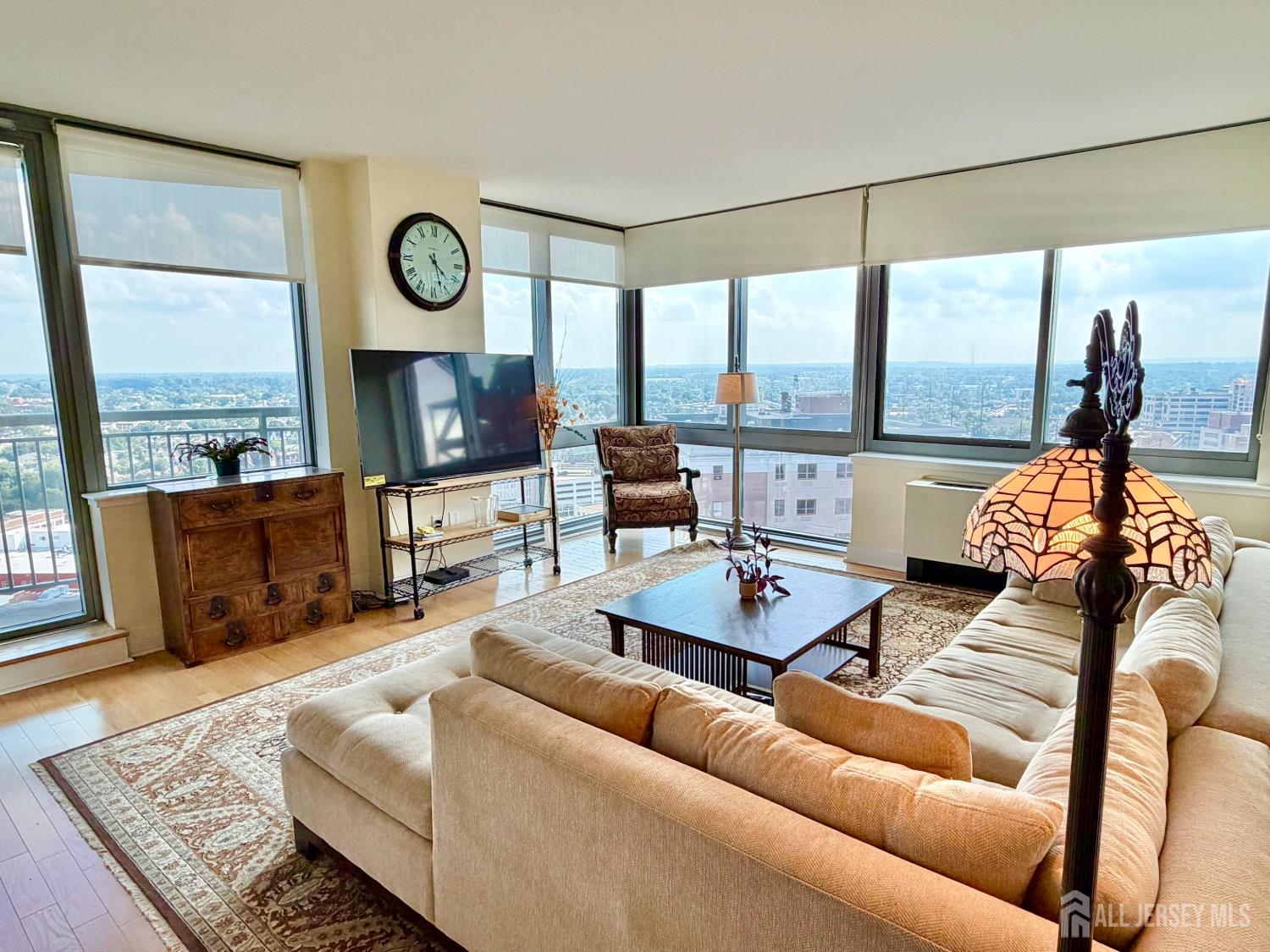 1 Spring Street 2204, New Brunswick, NJ, 08901 image 10