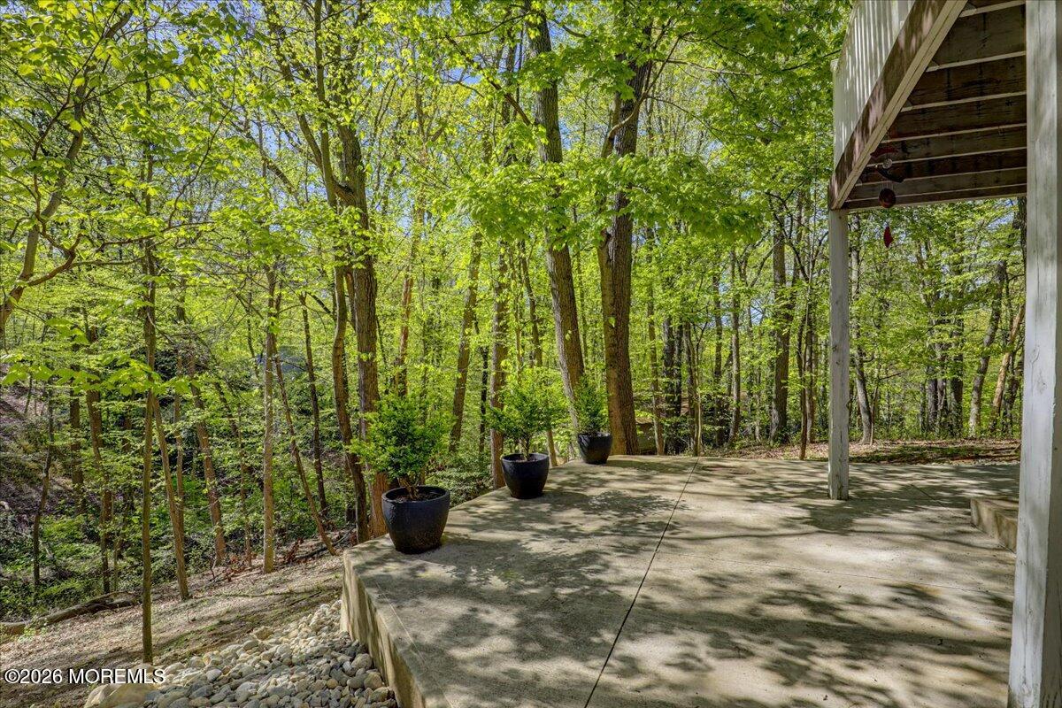 6 Twin Brooks Court, Holmdel, NJ, 07733 image 63