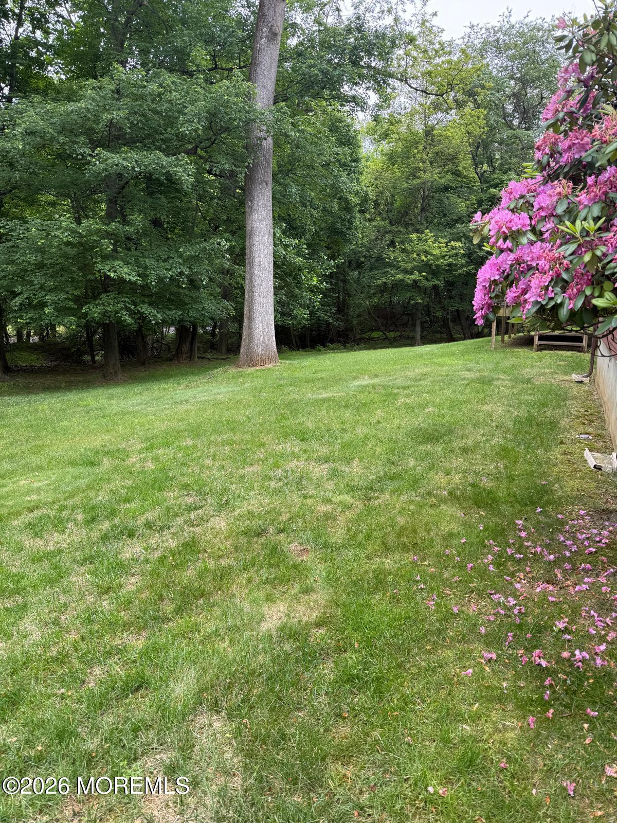 8 Delwood Drive, Holmdel, NJ, 07733 image 53