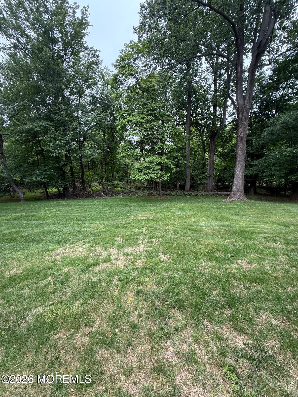 8 Delwood Drive, Holmdel, NJ, 07733 image 49