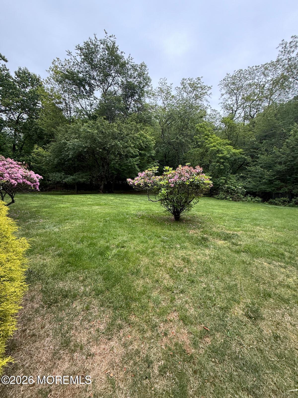 8 Delwood Drive, Holmdel, NJ, 07733 image 30