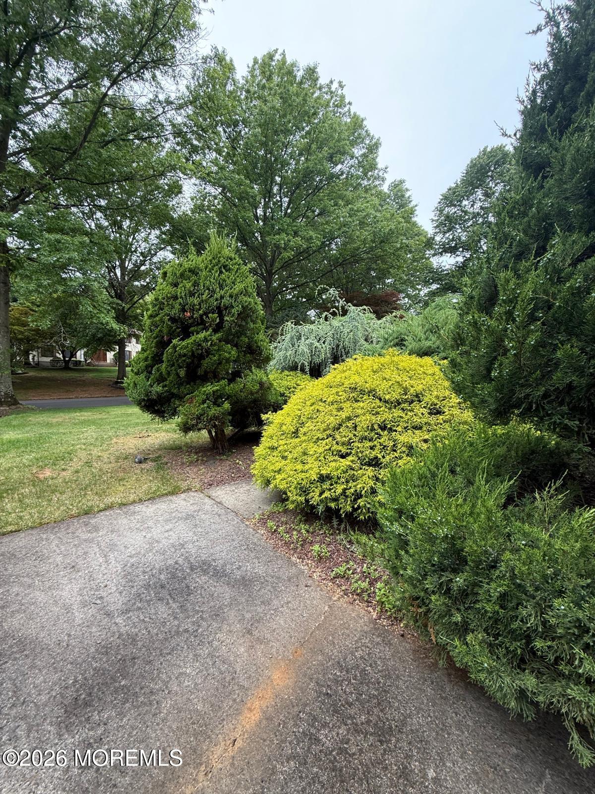 8 Delwood Drive, Holmdel, NJ, 07733 image 35