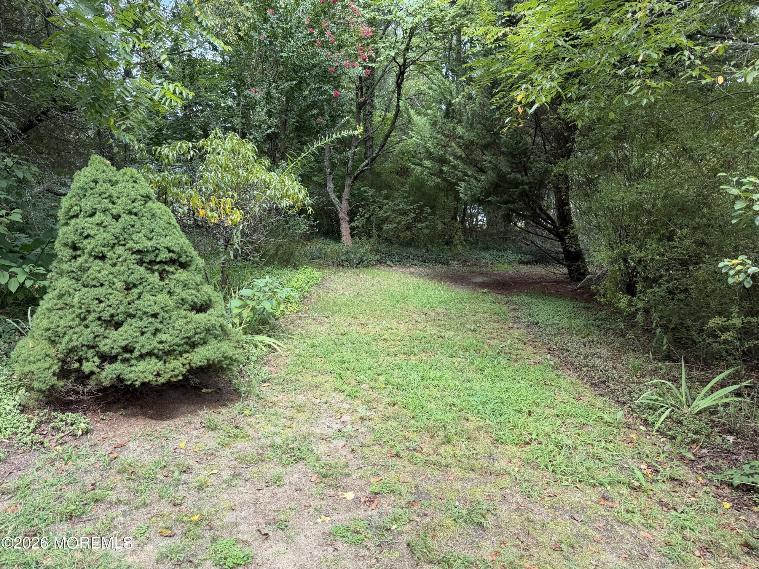 4 Peach Tree Street, Jackson, NJ, 08527 image 6