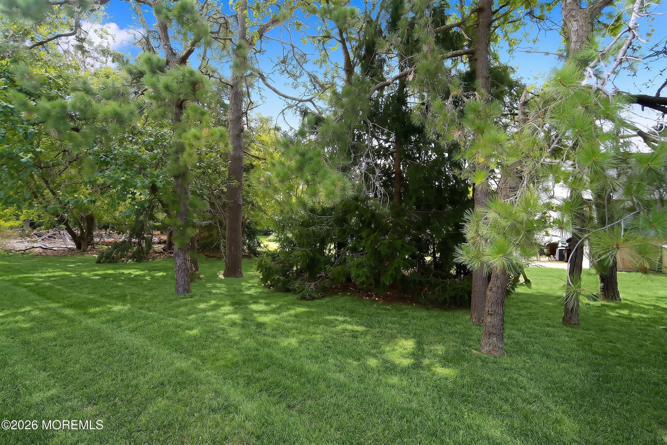 11 Spring Street C, Whiting, NJ, 08759 image 15