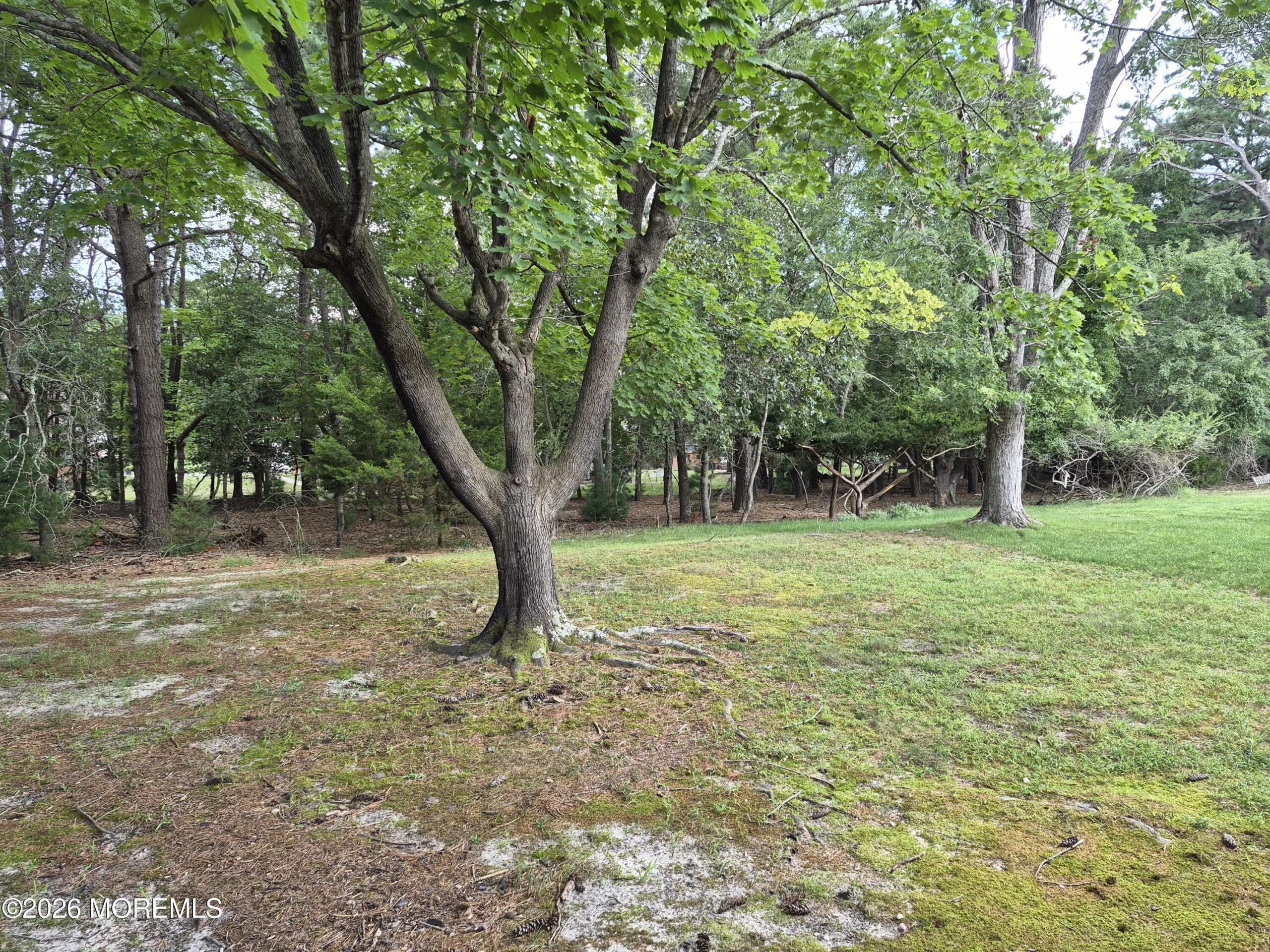 8 Potomac Lane Lane A, Whiting, NJ, 08759 image 19
