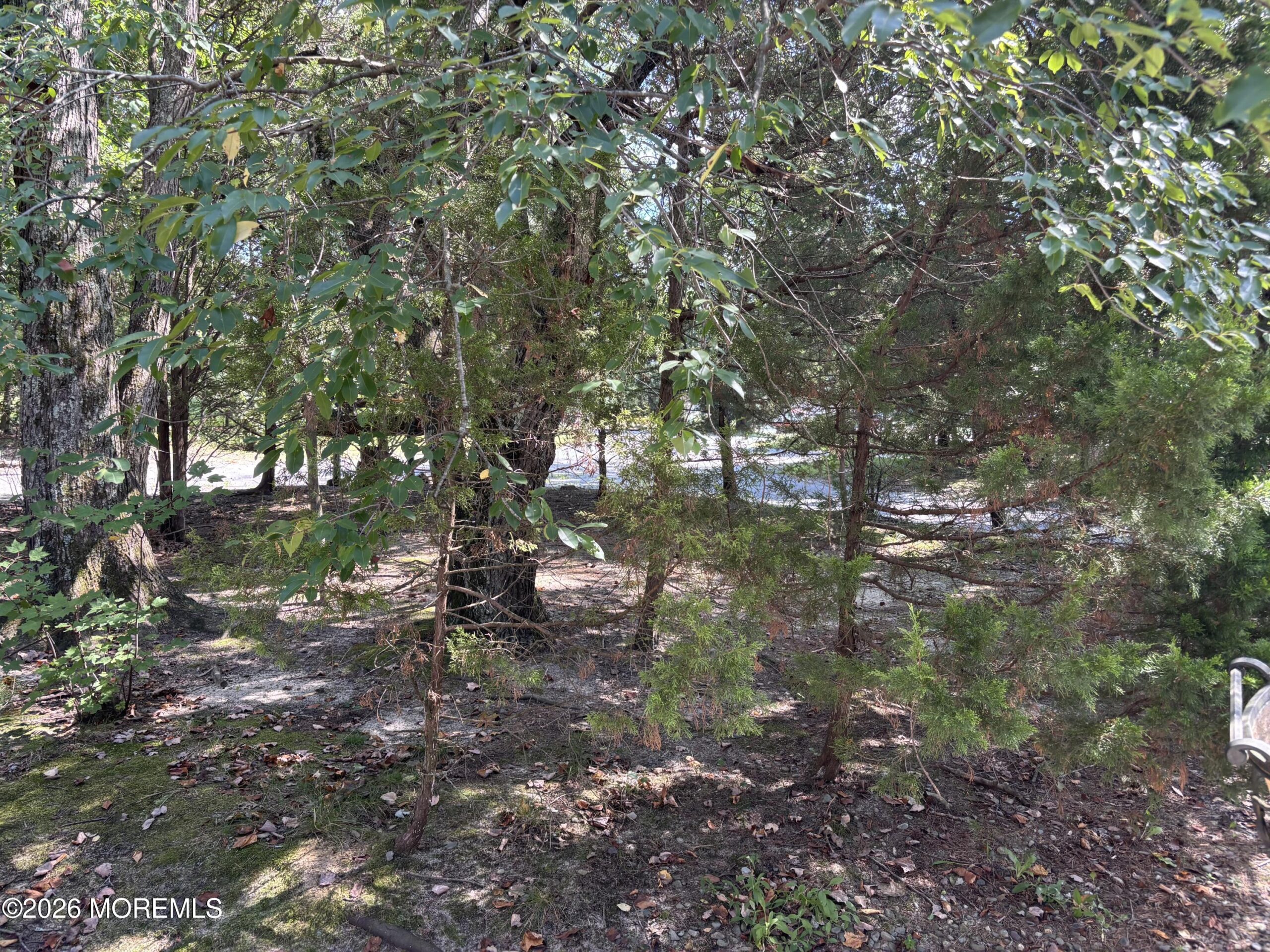724 Monmouth Road 23, Upper Freehold, NJ, 08501 image 15