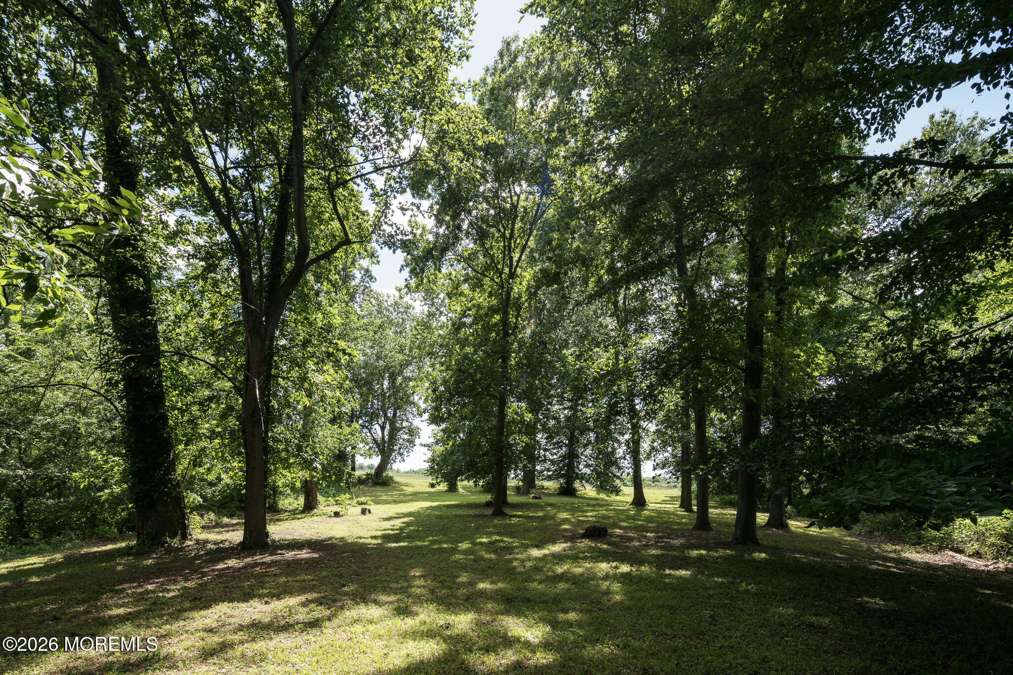 92 Warner Road, Mannington, NJ, 08079 image 30