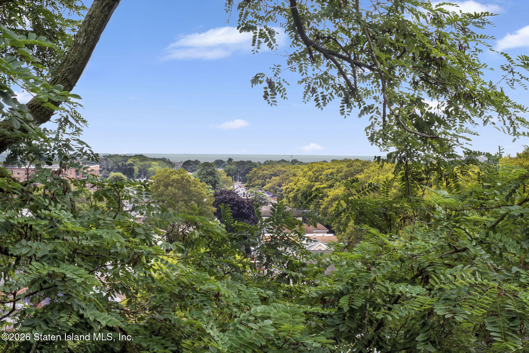 1233 Todt Hill Road, Staten Island, NY, 10304 image 21