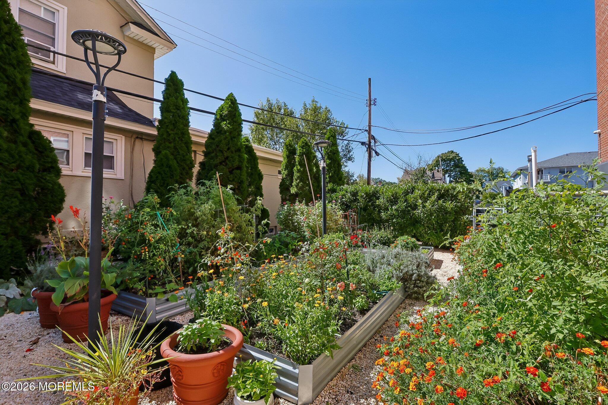 1615 Park Avenue 1C Image 5