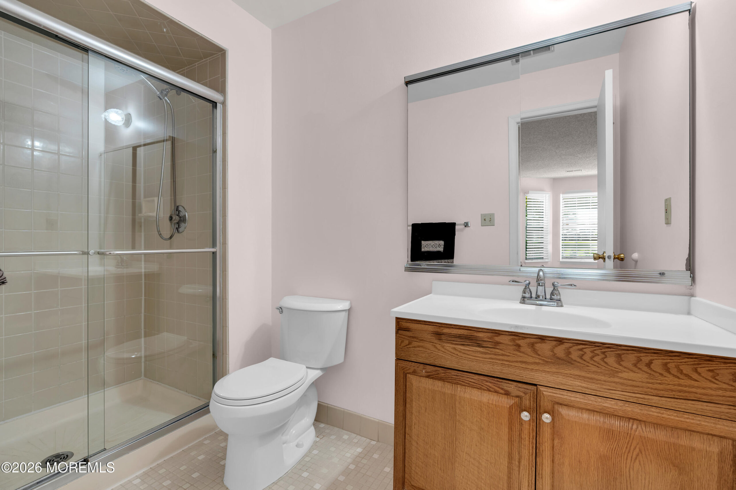 133 Tulip Lane, Freehold, NJ, 07728 image 10