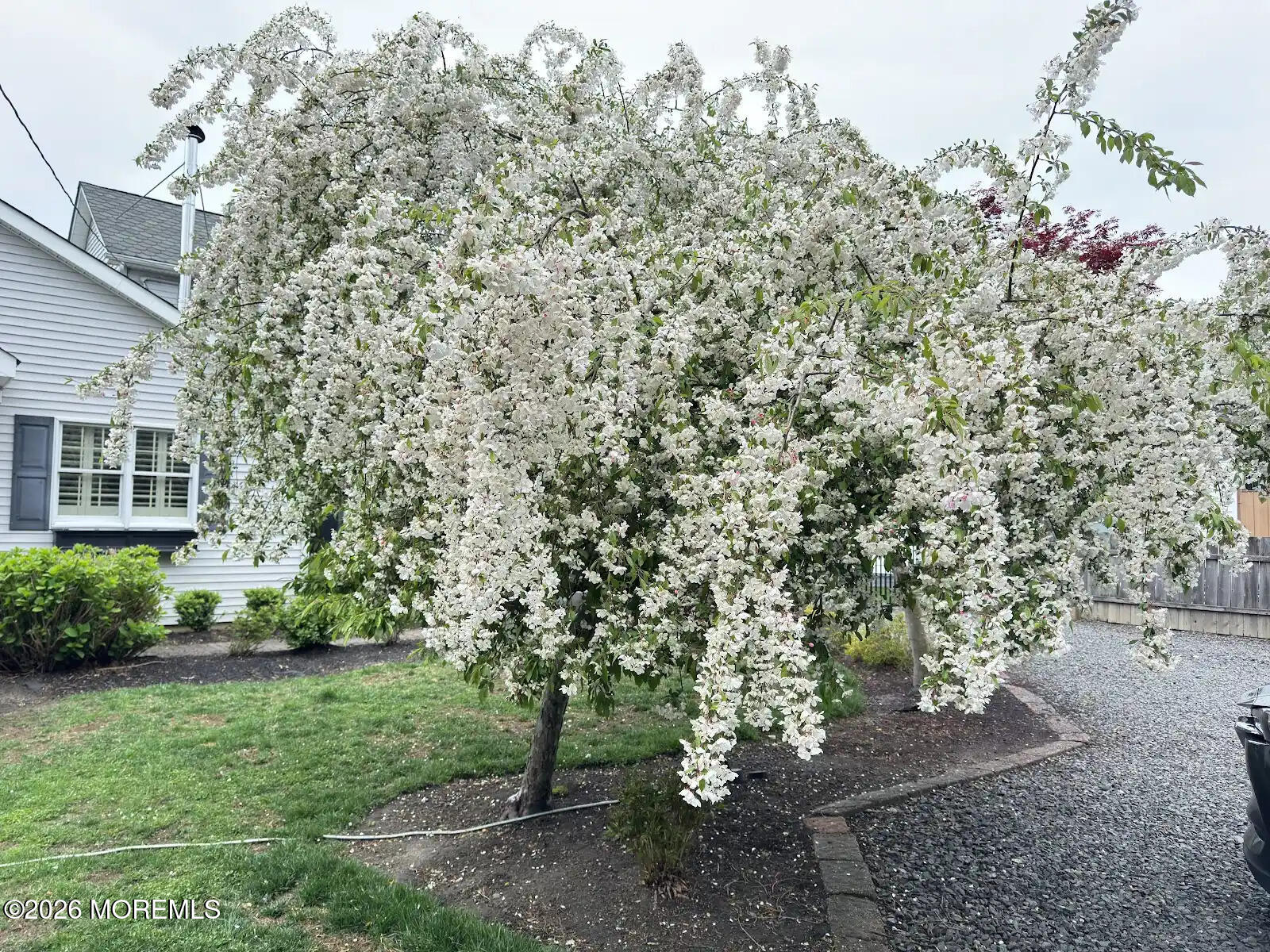 703 Sea Girt Avenue, Sea Girt, NJ, 08750 image 60