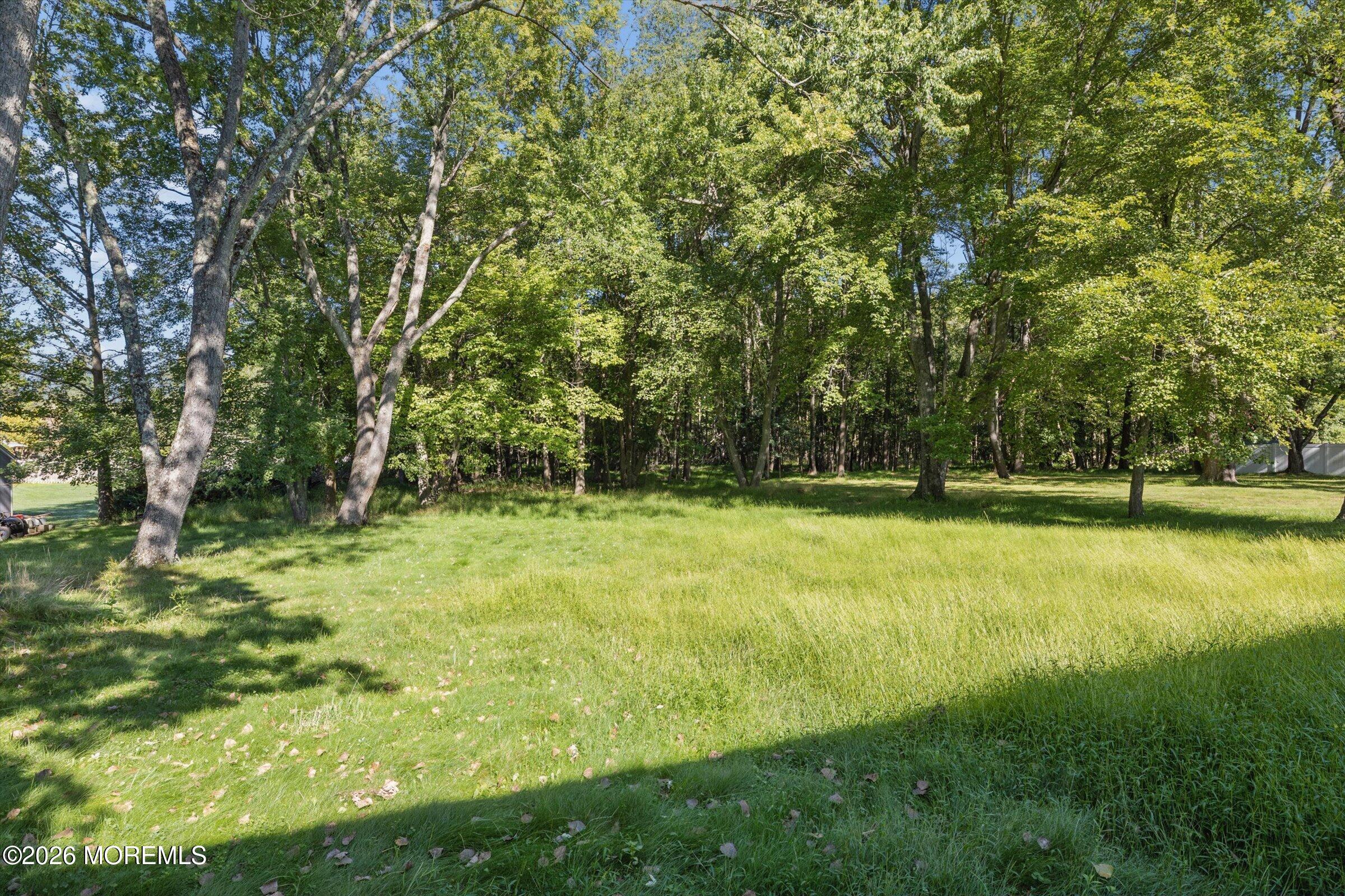 4 Wylie Terrace, Morganville, NJ, 07751 image 28