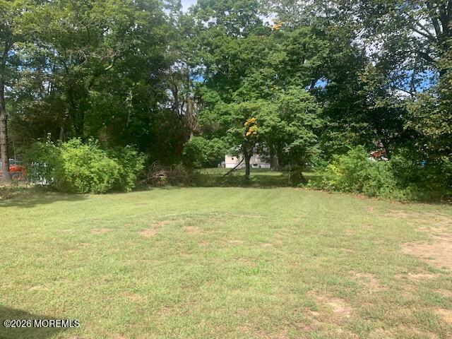 10 Peach Tree Street, Jackson, NJ, 08527 image 11