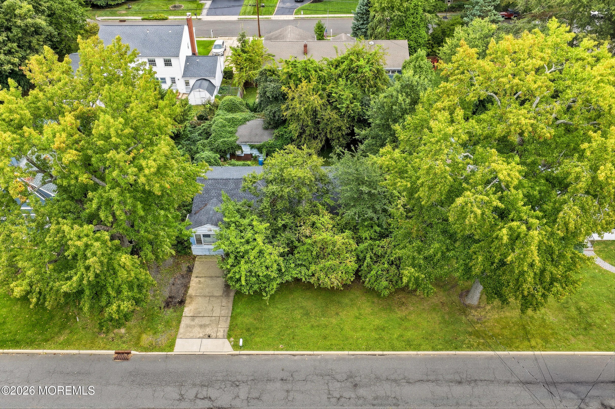1215 Allaire Avenue Image 4
