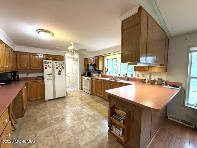 302 Kenwood Court, Whiting, NJ, 08759 image 7