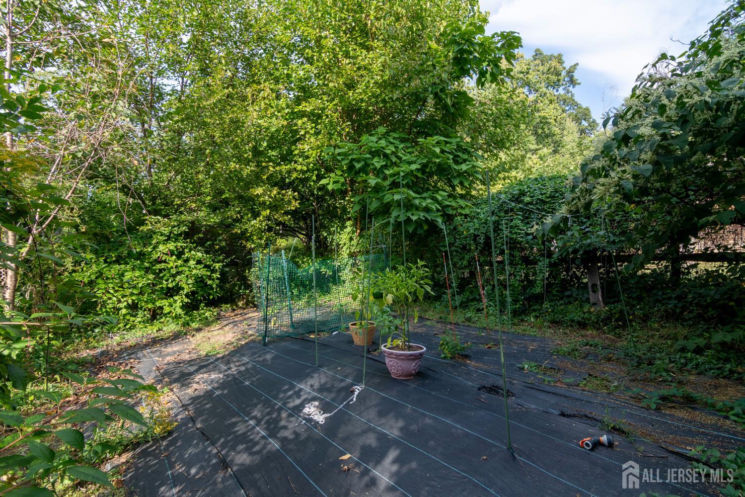 6 Dogwood Hill, Warren County, NJ, 07059 image 54
